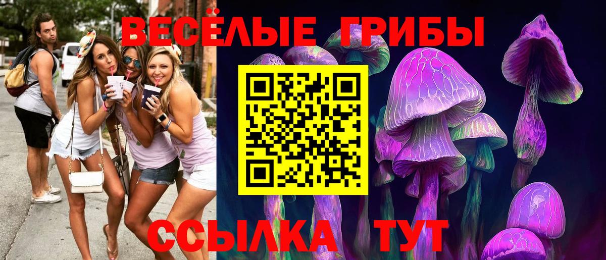 Торжок  LSD-25  Меф   Вход с VPN  Марихуана  Cocaine  Метамфетамин  ГАШИШ 