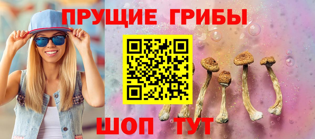 Псилоцибиновые грибы Psilocybine cubensis  Вход с VPN  Торжок 